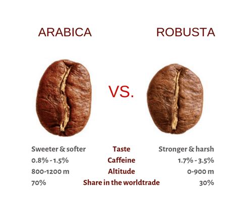 Robusta coffee headache  The exact caffeine content of Robusta coffee can vary depending